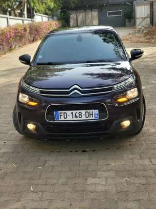citroen c4-cactus 2019 image 14