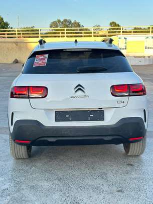 Citroen  C4 Cactus Modèle 2019 image 7