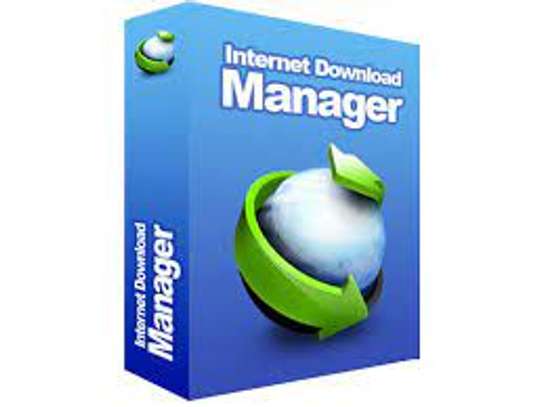 Internet Download Manager image 1