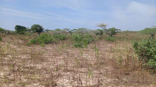 Terrain agricole accessible a vendre image 6