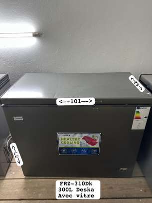 Congélateur Horizontal DESKA 300L FRZ-310DK image 2