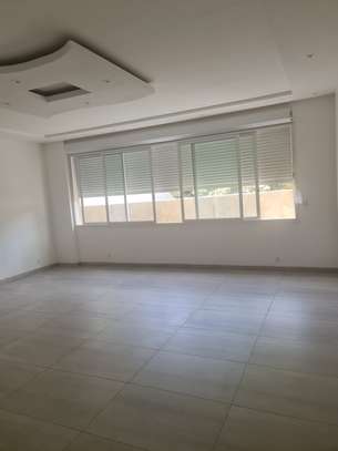 Appartements neufs à louer au point e image 6