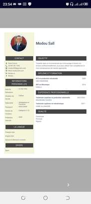 CV professionnel image 1
