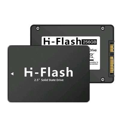 Disque SSD Hi-Flash 256 Go avec boîtier USB 3.2 Haysenser image 1