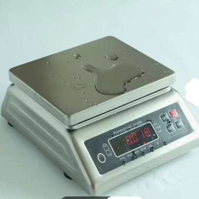 Balances  électroniques Étanche  et étalonnée image 2