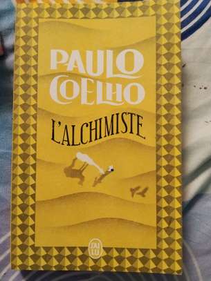 Lot de 3 livres NEUFS ( CIALDINI, COELHO, DICTIONNAIRE) image 5