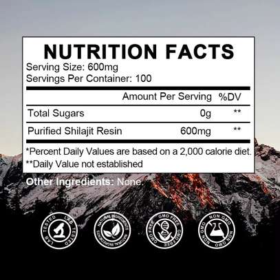 SHILAJIT RESIN image 2