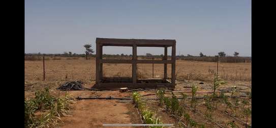Terrain agricole Notto Diobass village Ngolar image 5