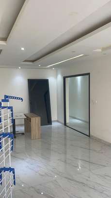 APPARTEMENT AUX MAMELLES image 6