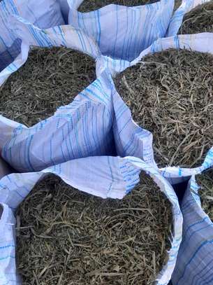 Foin de maralfalfa ngone bu wow maralfalfa image 1