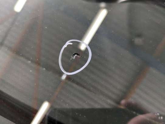 Citroën C4 sous douane image 7