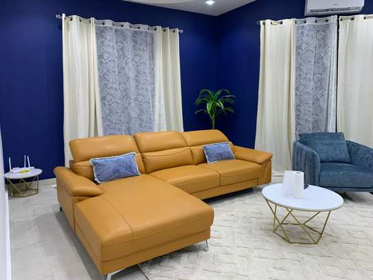 APPARTEMENT MEUBLÉ À LOUER MERMOZ image 3