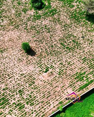 Terrains de 1000 m² à vendre à Saly image 3