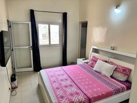 Très grand appartement entièrement meublé au plateau image 2