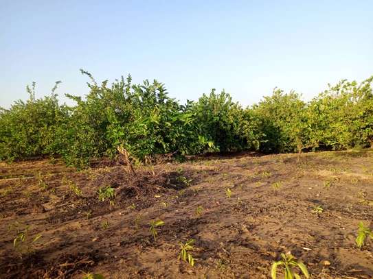 𝐕𝐞𝐫𝐠𝐞𝐫 𝐝𝐞 1 𝐡𝐞𝐜𝐭𝐚𝐫𝐞𝐬 6000m2 𝐞𝐧 𝐩𝐥𝐞𝐢𝐧𝐞 𝐩𝐫𝐨𝐝𝐮𝐜𝐭𝐢𝐨𝐧 image 2