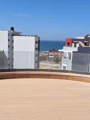 APPART F3 avec une gigantesque TERRASSE PRIVÉE image 1