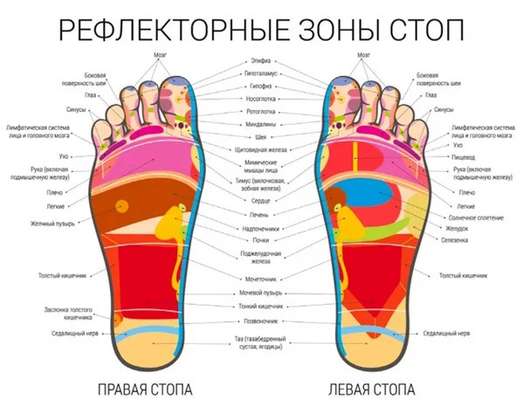 Masseur de pieds électrique image 2