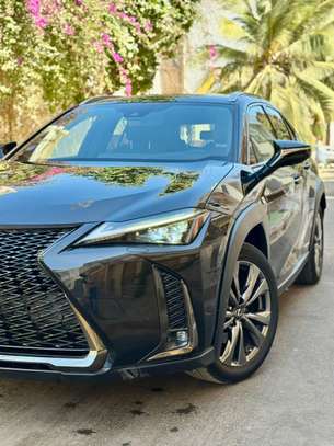 LEXUS ux250h, 2019 Hybride image 3