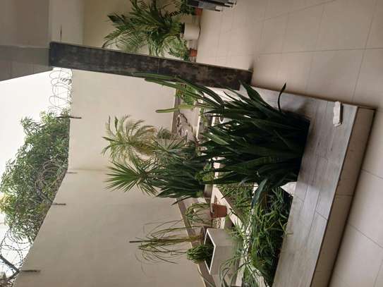 villa louer mermoz image 9
