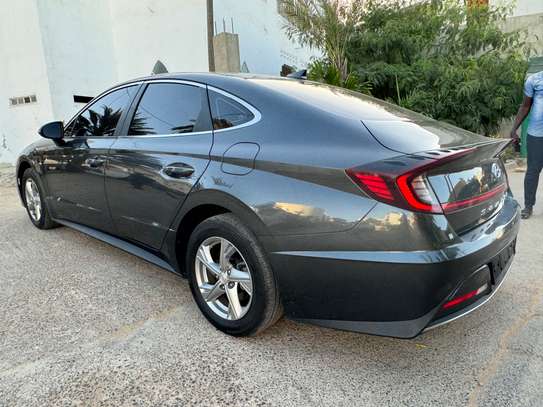 Sonata image 6