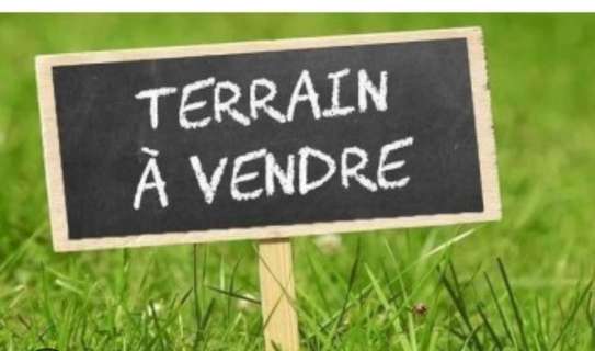 TERRAIN DE 600M2 A VENDRE A NGUERIGNE SERERE image 1