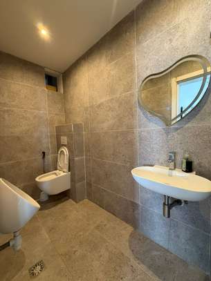 Magnifique Penthouse à louer image 6