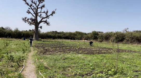 Terrain 1 hectare a sebiponty ndoyene image 2