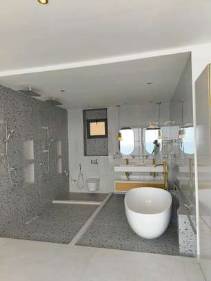 Penthouse à louer image 3