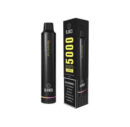 Blanco Rechargeable Disposable 5000 Puffs - Cool Mint image 2
