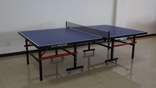 Table de ping-pong pliable professionnelle image 1