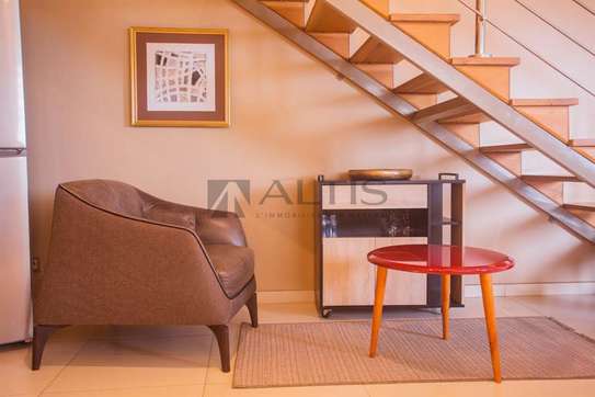 DUPLEX F2 MEUBLÉ - MERMOZ image 5