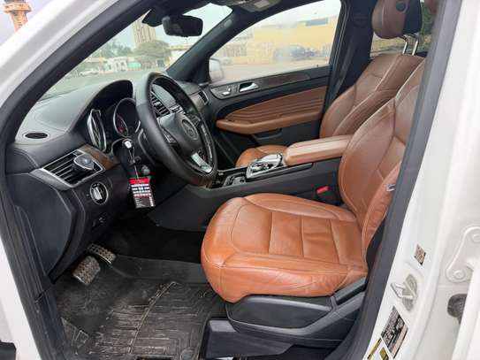 GLE image 6