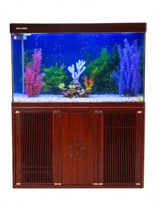 Aquarium image 7