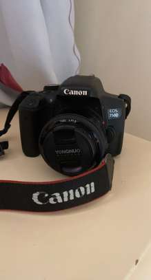 Canon 750d avec 50mm 1.8YN image 5