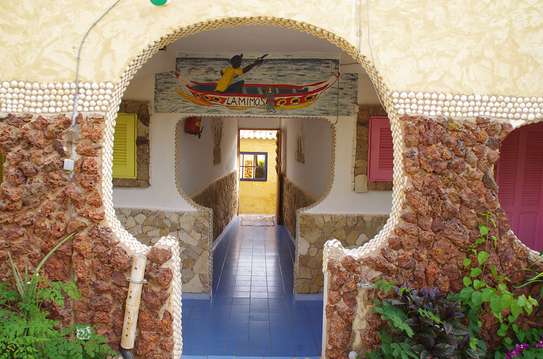 La Mimosa - Toubab Dialaw image 10