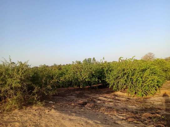 𝐕𝐞𝐫𝐠𝐞𝐫 𝐝𝐞 1 𝐡𝐞𝐜𝐭𝐚𝐫𝐞𝐬 6000m2 𝐞𝐧 𝐩𝐥𝐞𝐢𝐧𝐞 𝐩𝐫𝐨𝐝𝐮𝐜𝐭𝐢𝐨𝐧 image 12