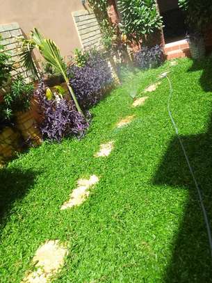 Horticulture image 12