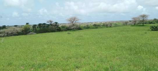 Terrains agricoles de plus de 50 hectares à vendre image 3