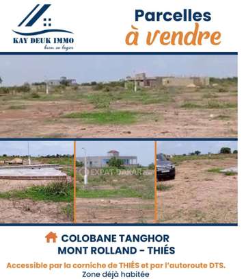 Lot de 500 parcelles à colobane tanghor image 1