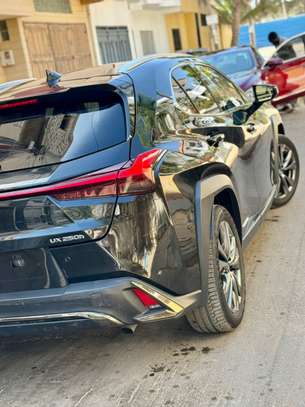 LEXUS ux250h, 2019 Hybride image 7