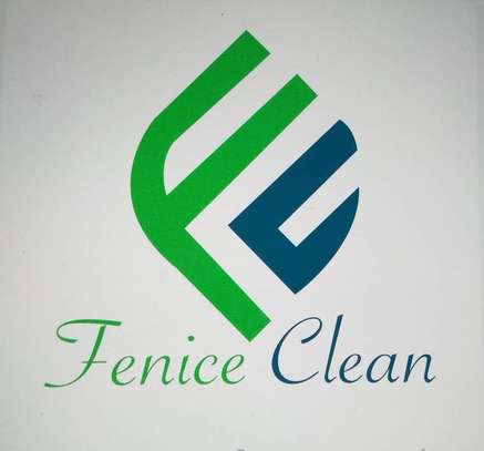 Fenice Clean image 3