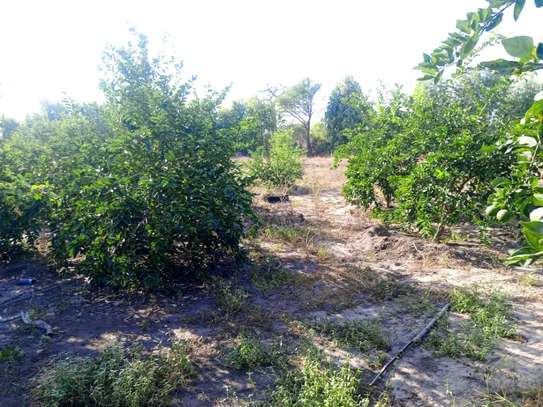 Ferme agricole à vendre à Darou koudoss image 2
