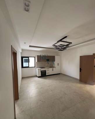 APPARTEMENT F2 À VENDRE À AMITIÉ 1 image 4