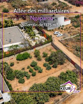 Terrain d'exception à vendre Allée des Milliardaires image 1