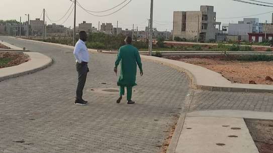 PLUS 200 PARCELLES A VENDRE A TOLL ABDOULAYE WADE image 2