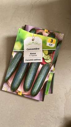 LIVRAISON FRUIT LEGUME ENGRAIS SEMENCE CAMION FRIGO 20M3 image 7