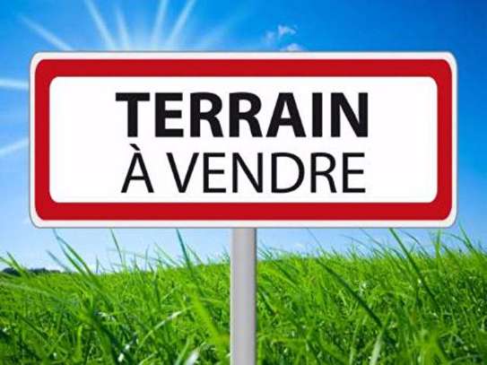 terrain à vendre image 1
