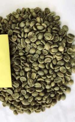 Café vert Meilleur prix du marché image 2