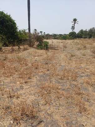 Verger 3ha à vendre à Ndianda Ngeuniène sur la route de joal image 11