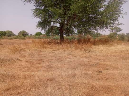 Terrain Agricole de 2,07 Hectares vers Tassette – Thiès image 5